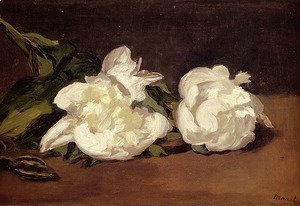 Edouard Manet - Branch Of White Peonies With Pruning Shears