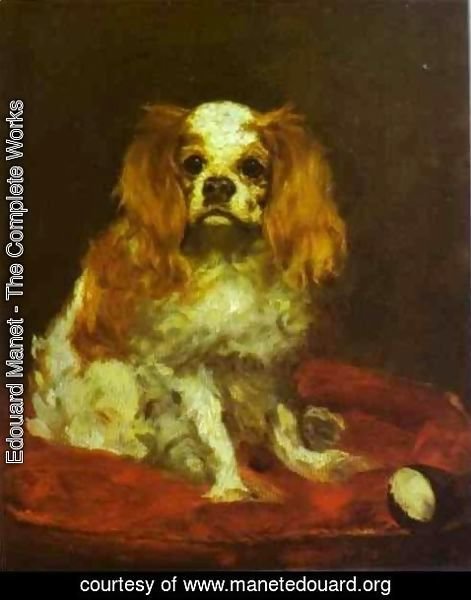 Edouard Manet - A King Charles Spaniel