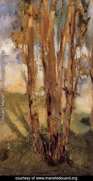 Edouard Manet - Study of Trees