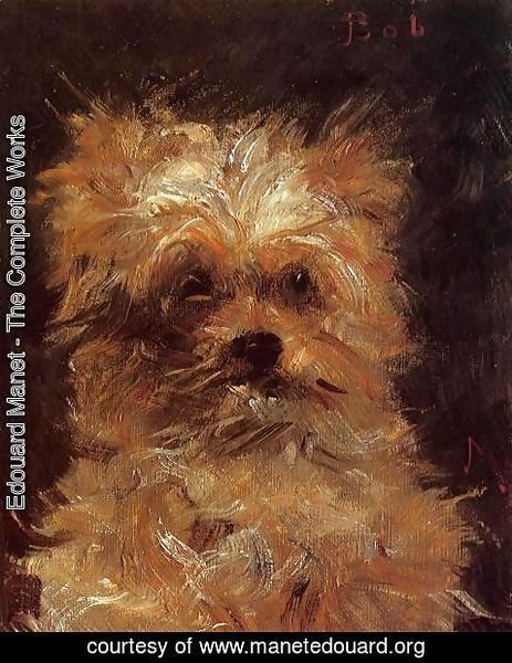 Edouard Manet - Head of a Dog, 'Bob'