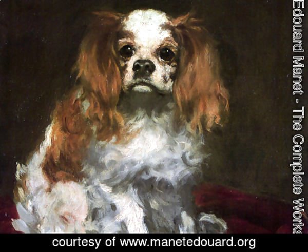 Edouard Manet - the dog